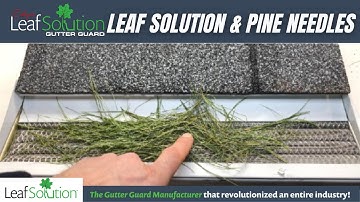 Leaf Solution Gutter Guards and Pine Needles