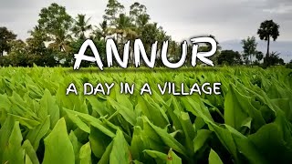 Annur A Day In A Village Nature 