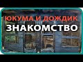 КУПИЛ ДОМ В ДЕРЕВНЕ / 🦊  КАРЕЛО ФИНСКИЕ ЛАЙКИ / ЮКУМА ДОЖДИК ЗНАКОМЯТСЯ