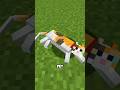 Enchanted Cats #minecraft