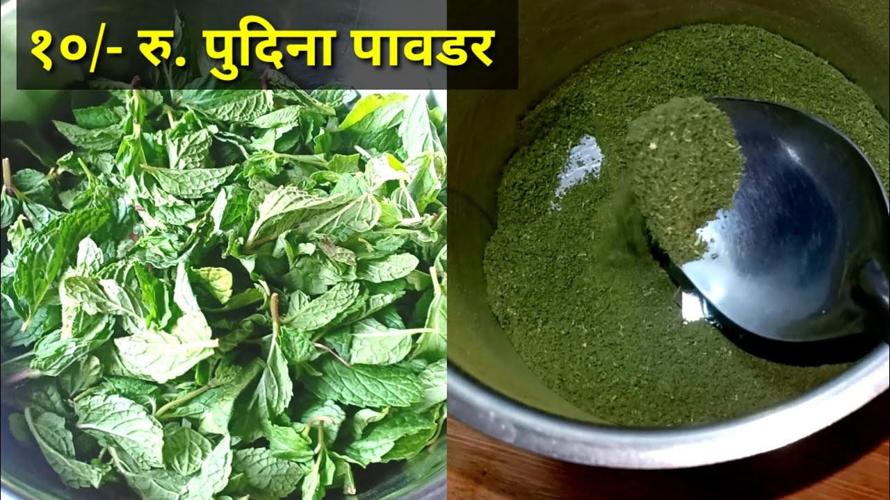 नवीन पद्धतीने फ्रिजमधे बनवा पुदीना पावडर | pudina powder | mint powder | #summer recipes