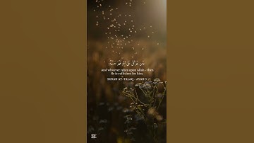 وَمَن يَتَوَكَّلْ عَلَى اللَّهِ فَهُوَ حَسْبُهُ ۚ #الطلاق #قرآن #شريف_مصطفى #اكسبلور #اسلاميات#آيات