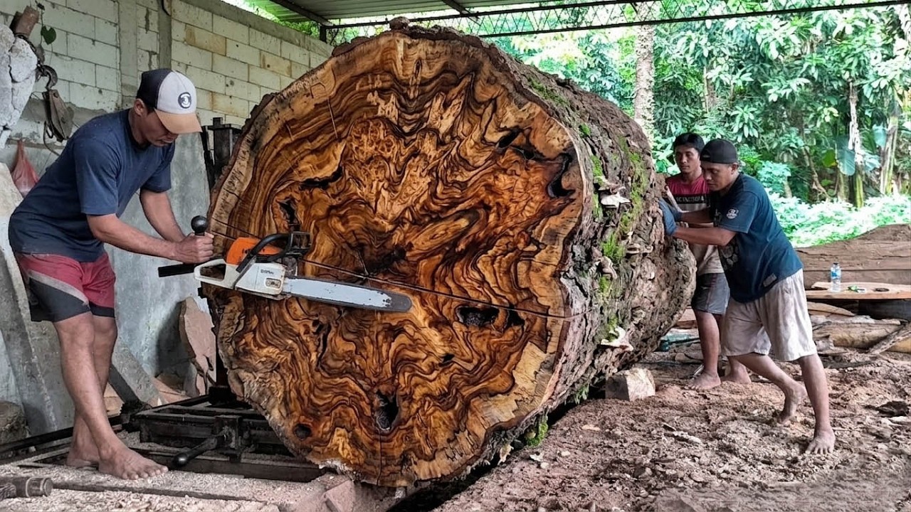 “Unbelievable Sawmill Process! Cutting a Massive Trembesi Tree” - YouTube
