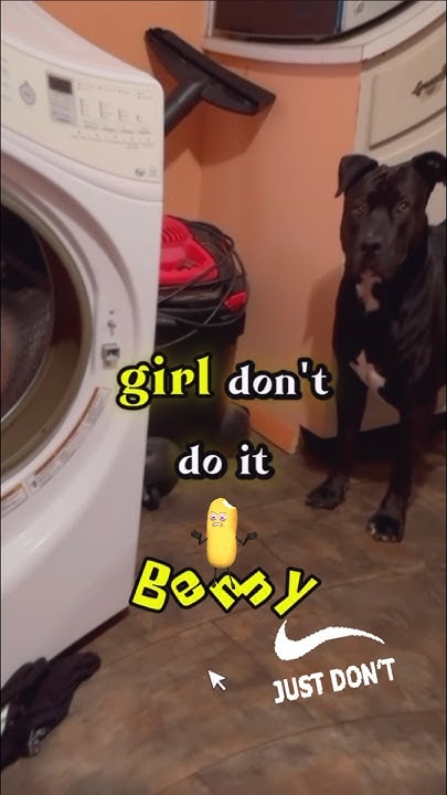 Girl Don’t Do It🤭It’s Not Worth It-Part 2⭐️SUB⭐️SHARE🤫#shorts #viral # - Girl Don't Do It I Did It Commercial