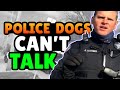 Can Cops Order You Out Of Your Car?