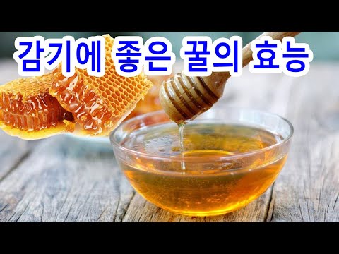 감기에 좋은 꿀의 효능