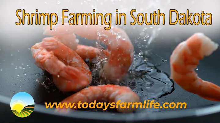 Shrimp Farming in South Dakota