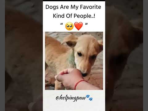 Animals are favourite ❤️😍 #shorts #shortsfeed #dog #viralvideo #aniamls