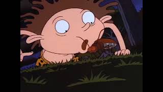 The Wild Thornberrys - Donnie Finds A Bug