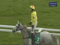 Paul Nicholls Interview after Paddy Power Gold Cup 2012