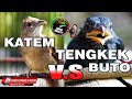 🔴 MASTERAN KOMBINASI KAPAS TEMBAK VS TENGKEK BUTO JERNIH JEDA NATURAL COCOK UNTUK SEMUA JENIS BURUNG