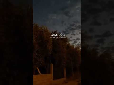 ومن اياته انك ترى الارض خاشعة قرآن راحه نفسيه
