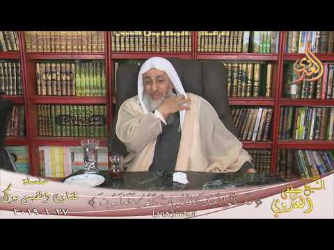 حكم خصي القطط المشرده الشيخ مصطفى العدوي للشيخ مصطفى العدوي