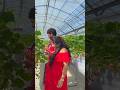 හරිම ලස්සනට හිතේ නිදහ⁣සේ ගෙවෙන දවස්..🍓🥹♥️ #samimoments #viral #shorts #shortvideo #trending #love