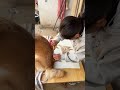 老師讓畫一幅：小狗的畫，家裡沒顏料了，她說拿狗毛湊合一下，這樣能行嗎？#人類幼崽 #萌娃日常 #萌娃與萌寵 @DOU+小助手