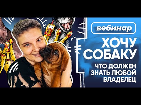 Бесплатный вебинар Насти Бобковой «Хочу собаку: что должен знать каждый владелец»