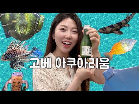 [한일커플] 우메다에서 타코야끼 직접 만들고 고베 아쿠아리움 데이트! 🐙🐠