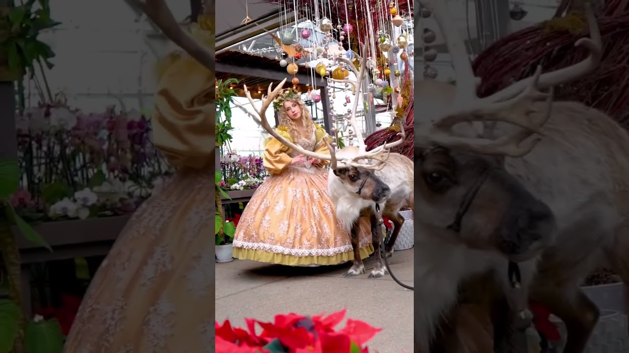 Making a fantasy holiday ballgown in 3 days?! 🌟