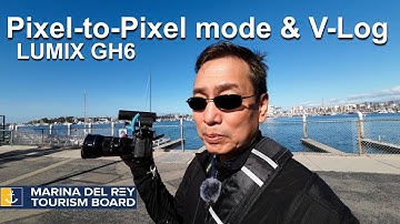 GH6 Pixel-to-Pixel mode with V-Log LUTs. Is it good for….