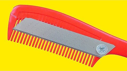 I Regret That I Didn