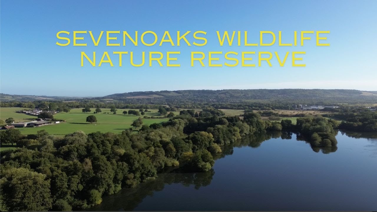 Drone footage of Sevenoaks Nature Reserve - Kent