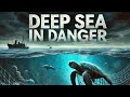 The Forgotten Ecosystems of the Deep Sea #deepsea