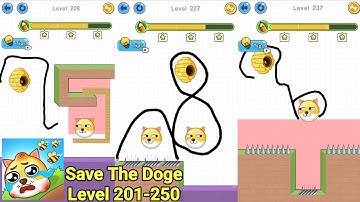 Save the Doge Answers | All Levels | Level 201-250