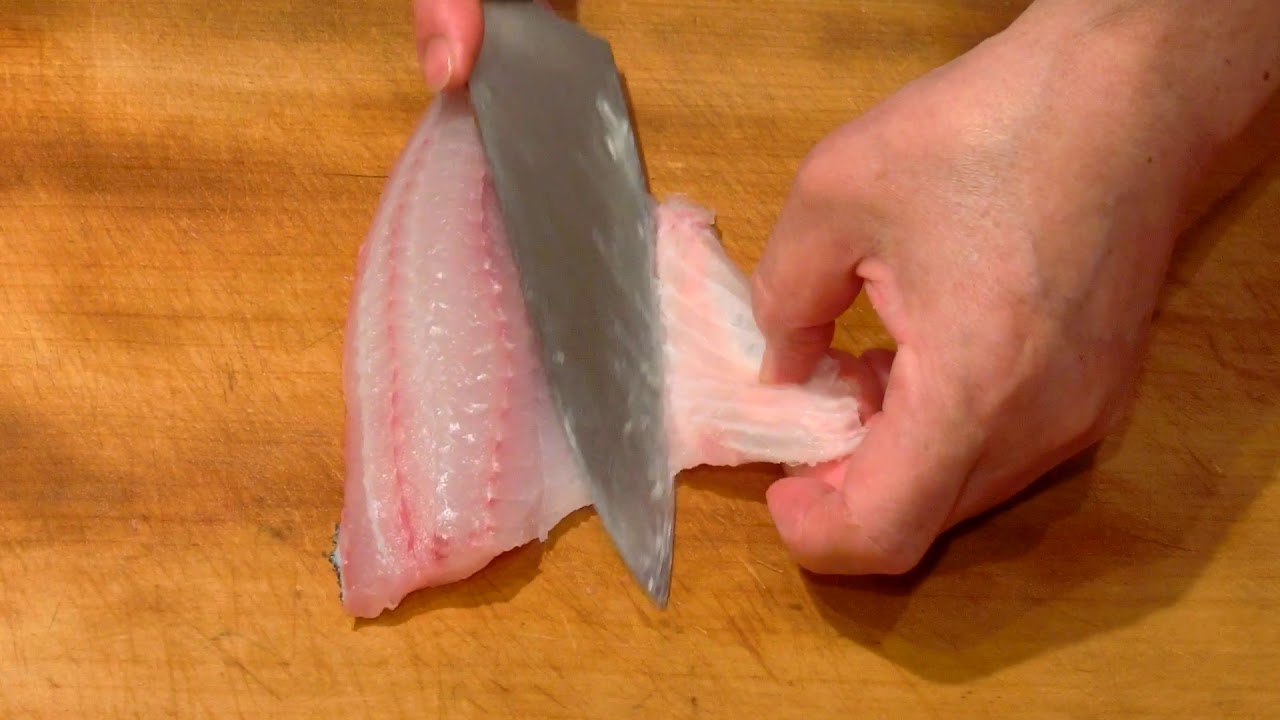 イサキ 伊佐木 の焼き皮造り 大和の 和の料理 刺身 Youtube