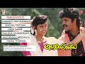 Allari Alludu Audio Songs Jukebox | Nagarjuna, Vanisri, Meena | MM Keeravani | Telugu Old Hit Songs Mp3 Song