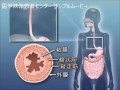 目で見る医学の基礎 第2版　Vol.6 消化器系