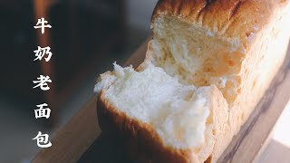中种法牛奶老面包 Milk Bread