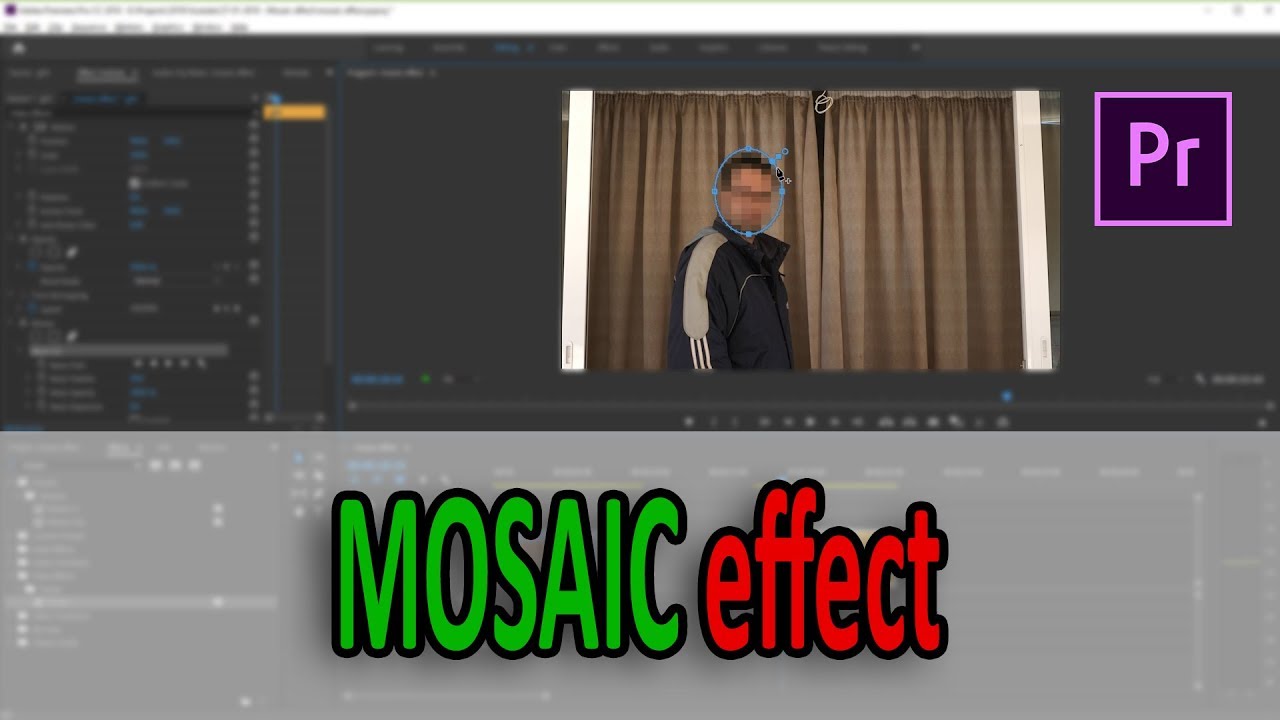 Mosaic Effect - Adobe Premiere Pro CC 2019 (Greek)