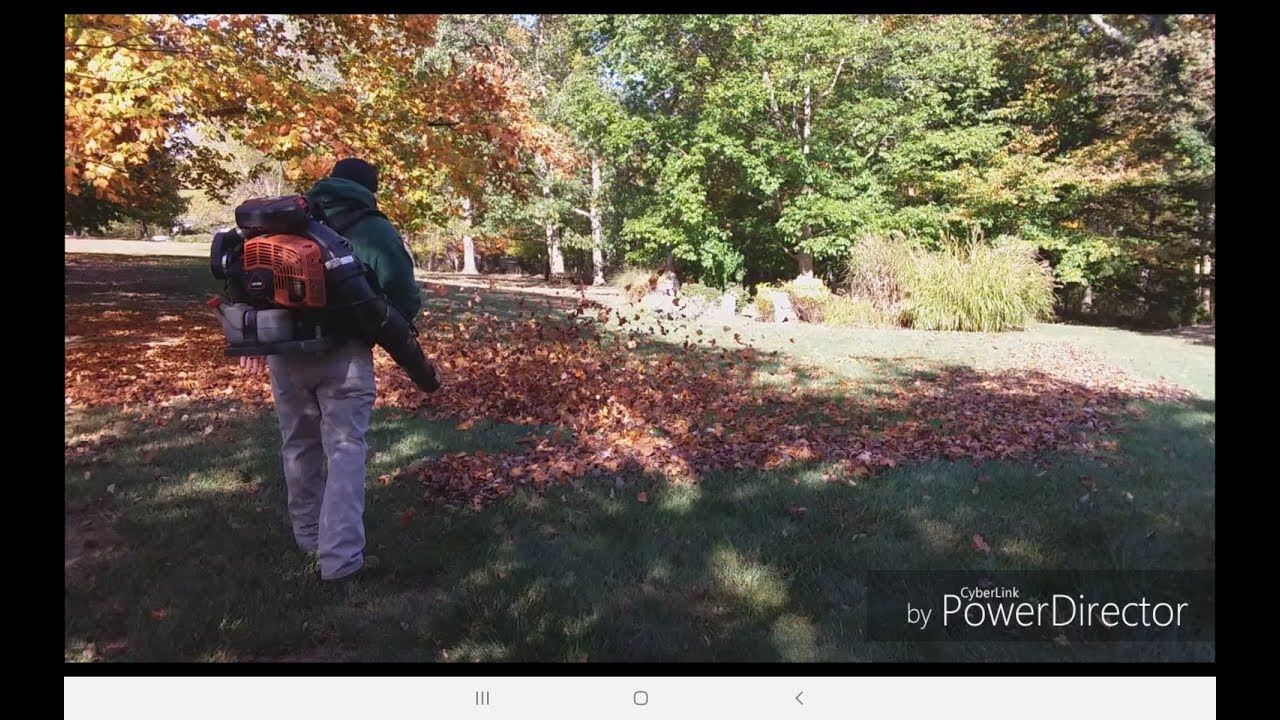 Echo PB 8010T Really Blows!! - YouTube