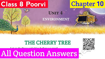 The Cherry Tree Question Answers | Class 8 English Poorvi Chapter 10 |