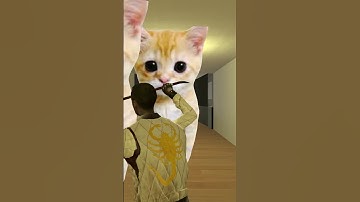 Ryan Gosling vs El Gato!!! Nextbot Gmod