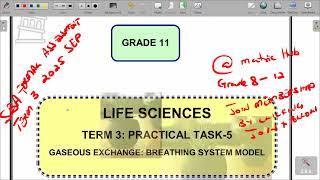 Life Sciences Grade 11 Practical SBA Term 3 - 2025 KZN Revision Work.