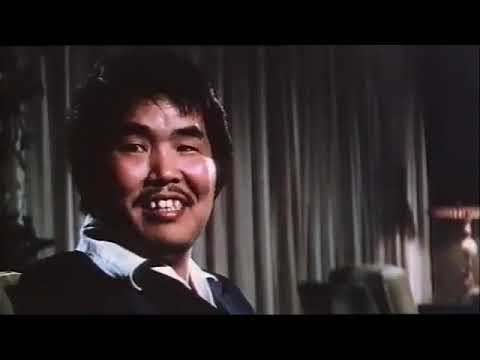 Bruce Le contra el Dedo de Hierro 1979 visita MANGA FILMS TV STAR en Dailymotion still