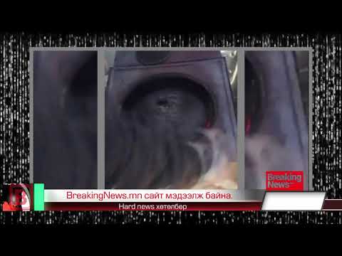 Монгол зуухаа тоодоггүй