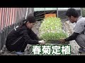 ハウス内次の作付け準備と定植作業・ヘッドセット紹介19/9/23＃786