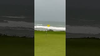 IMG 0171