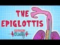 Operation Ouch - The Epiglottis | Science for Kids