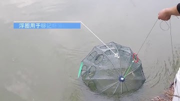 Folded Portable 20 Holes Fishing Net Network Casting Crayfish Catcher Shrimp Minnow Crab Baits Trap