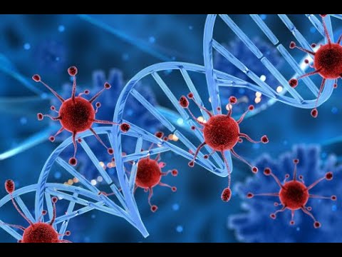 Video: ¿La nucleasa descompone los ácidos nucleicos?