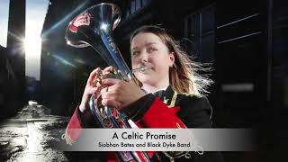 A Celtic Promise