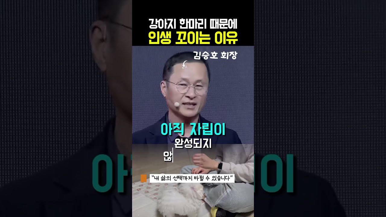 함부로 개 키우면 안 되는 사람들