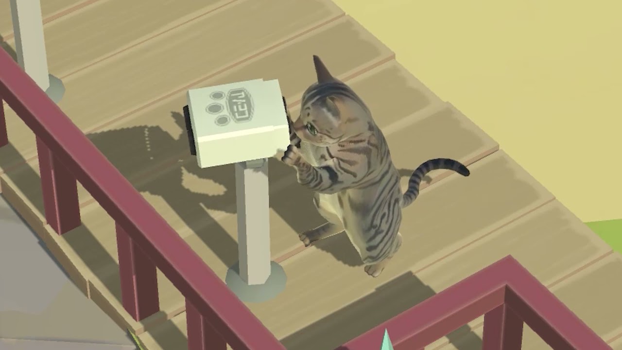 Игра dance cats. Кошачий курорт. Кошачий курорт: релакс-игра для любителей кошек. Kitty Cat Resort Mod. Кошачья санатория тема.