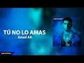 Tú No Lo Amas- Anuel AA (letra)