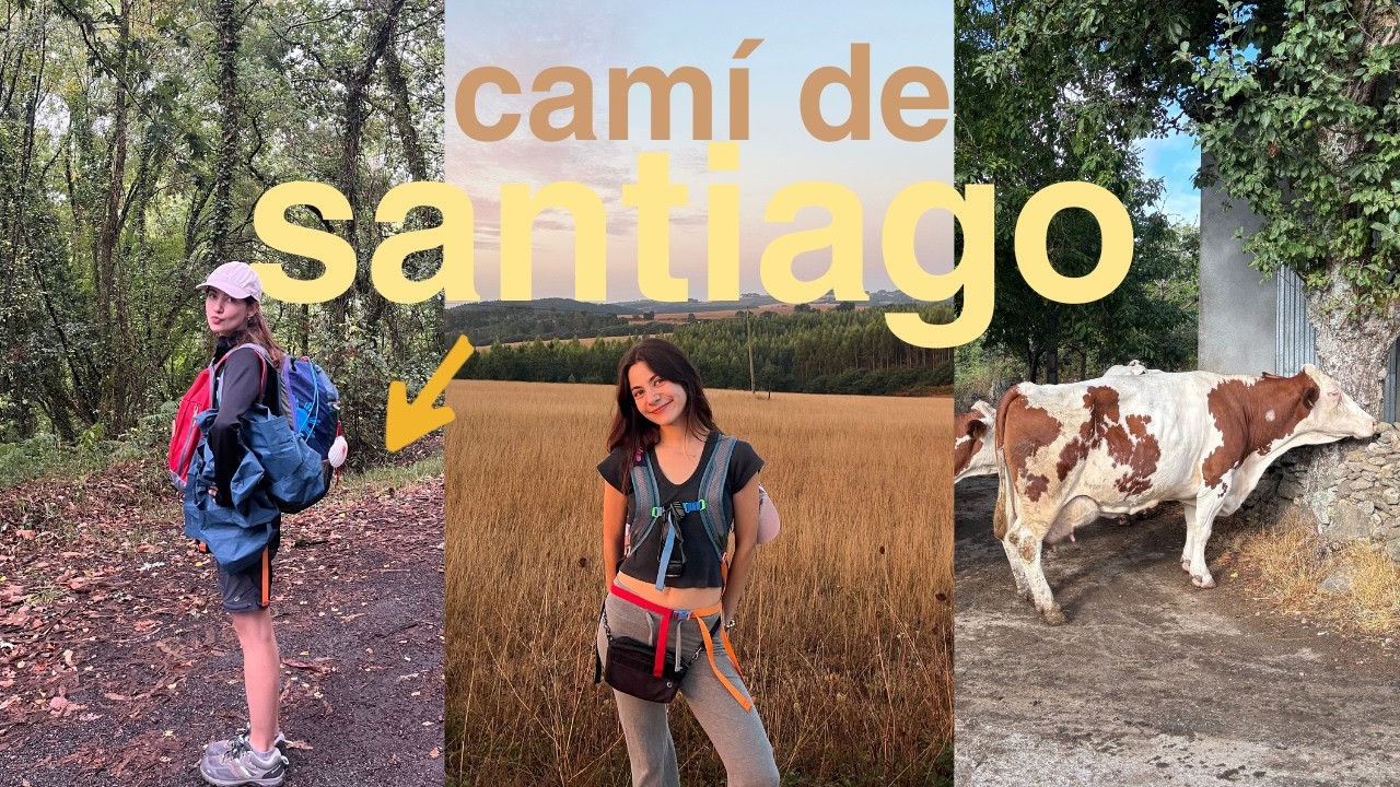 quant costa fer el camino? és segur? m'he sentit sola? preguntes i respostes