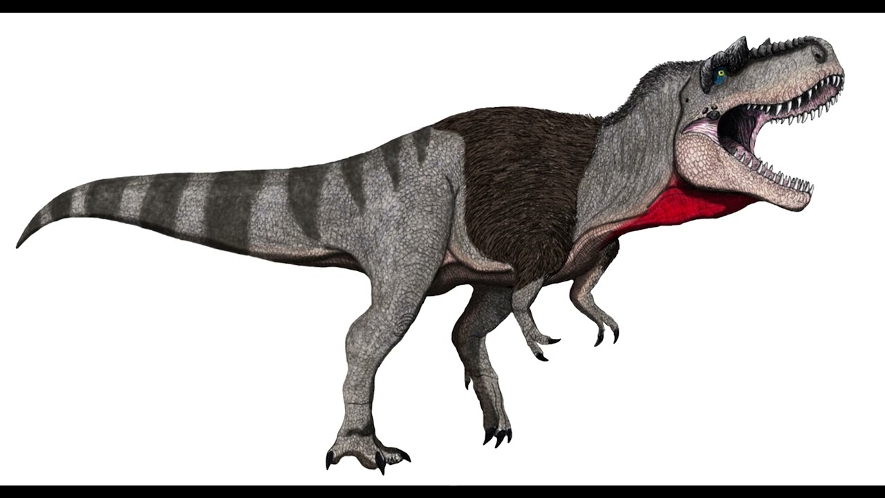 Labocania (Sound Effects)