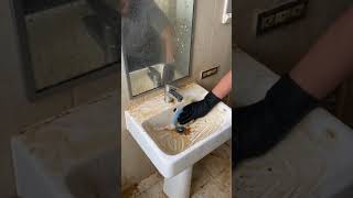 satu tandas senang bersih bila guna Badang Bathroom Cleaner ni!